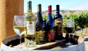 Award-winning Robledo Sonoma wines