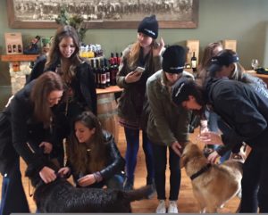 Private Wine Country Tour, Bachelorette Party