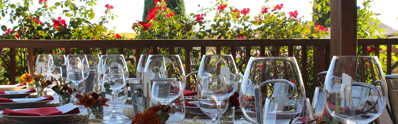 Olive Oil & Wine Tasting in Sonoma