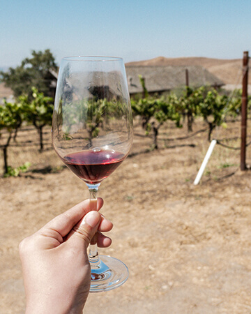 Hand holding stem of wineglass with vineyard background