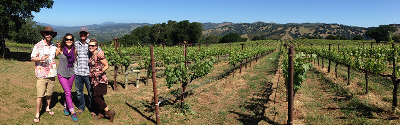 Wine tour passing through vineyard
