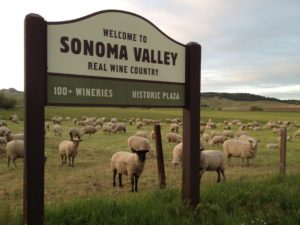 welcome to sonoma valley