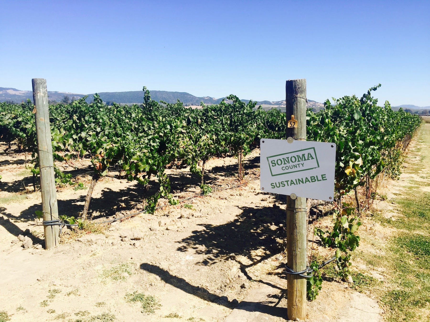 Napa & Sonoma Sustainable Wine Education Tour