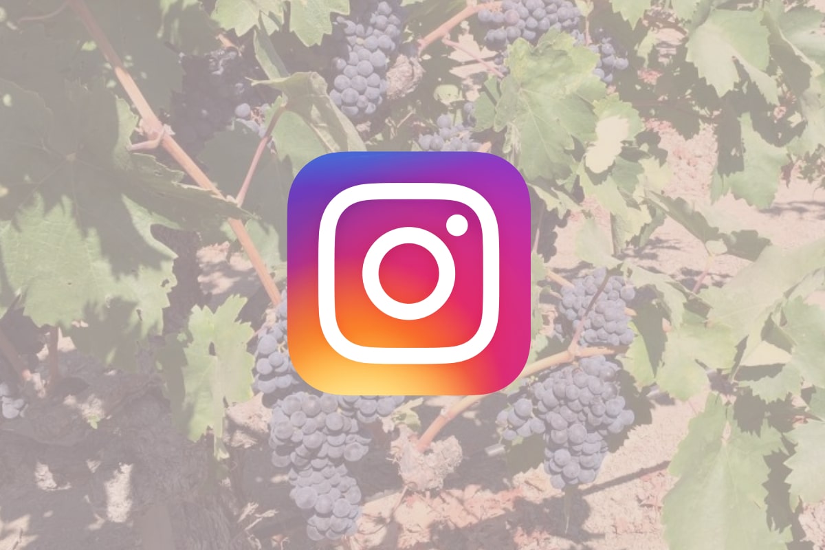 Wine Influencers to Follow in 2021