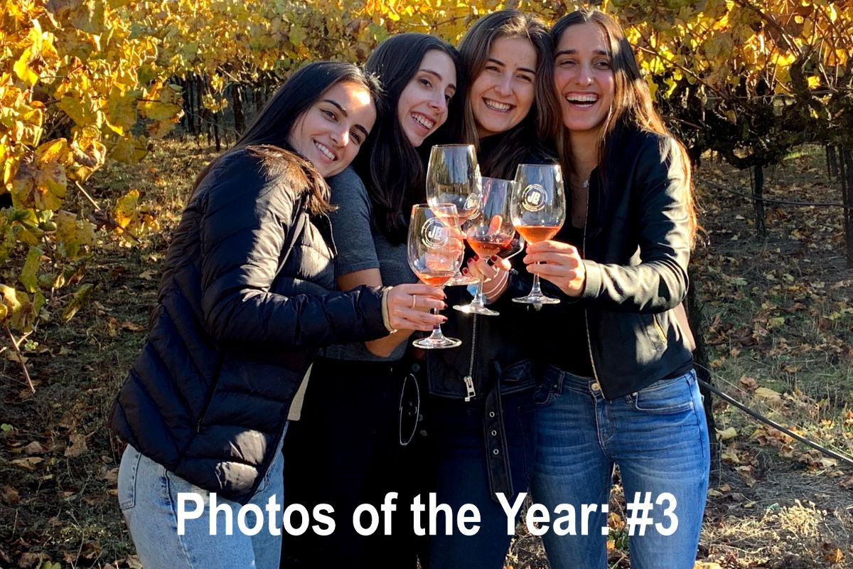 napa and sonoma photo of the year 3