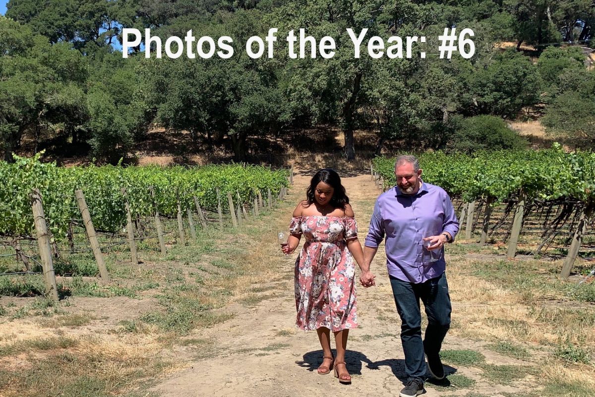 napa and sonoma photo of the year 6