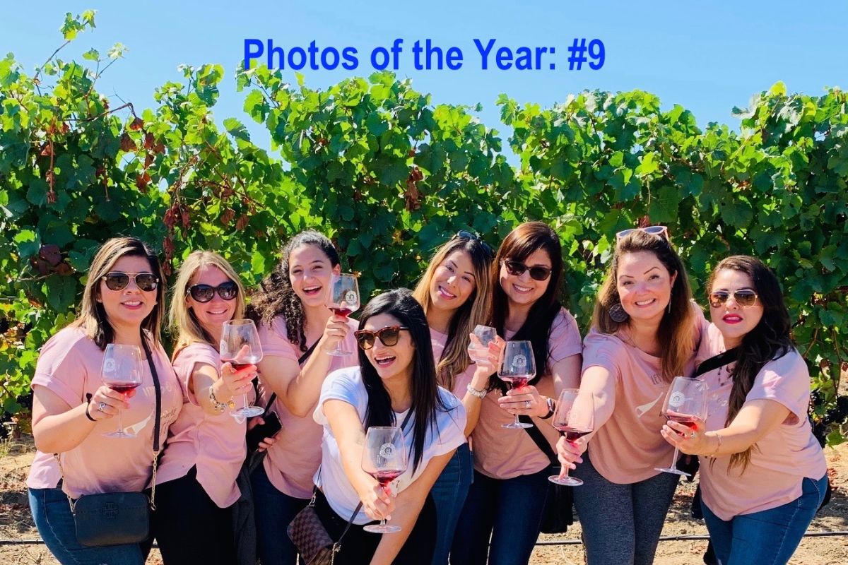 napa and sonoma photo of the year 9