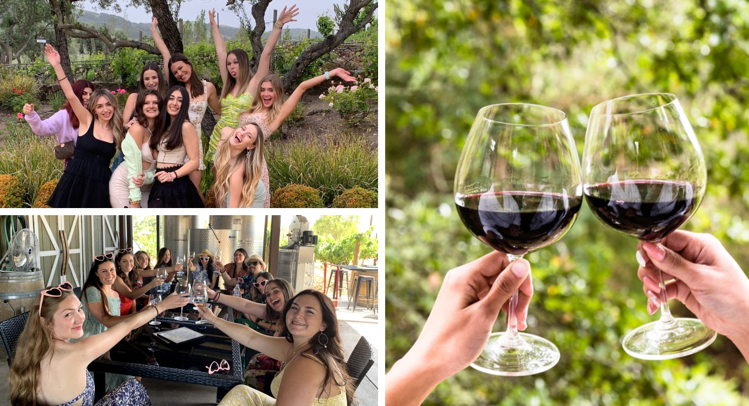 large group wine tours in Sonoma