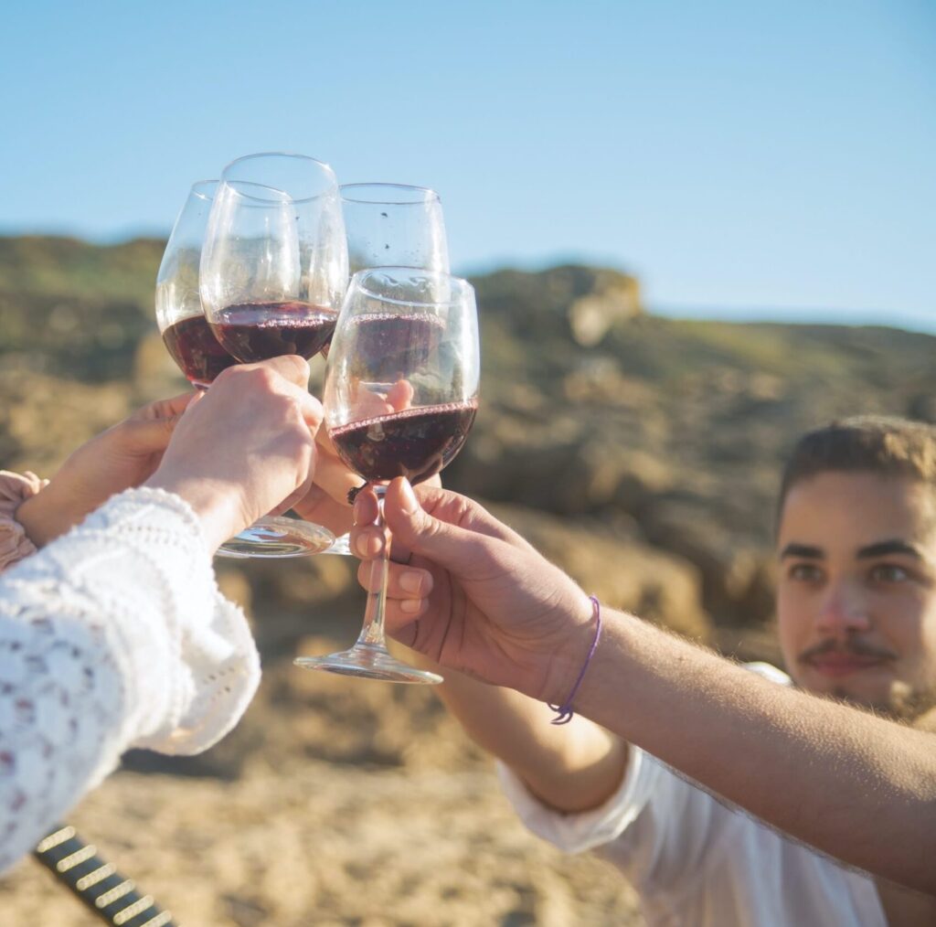 Wine Tours From San Francisco To Sonoma & Napa