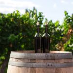 Napa and Sonoma: A Wine Lover’s Paradise