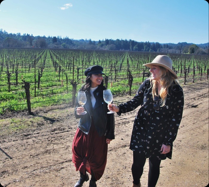 wine tasting tours napa valley from san francisco